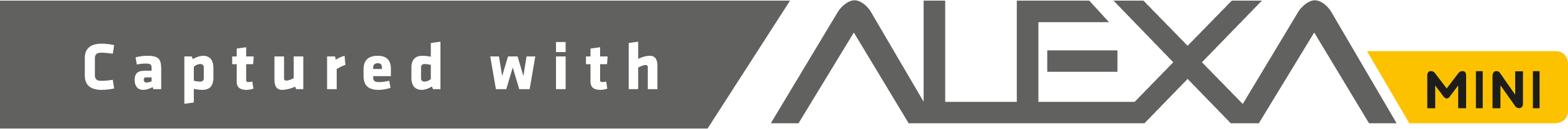 Captured with ARRI Alexa Mini
